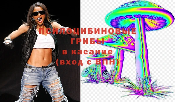 индика Дмитриев